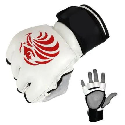MMA Gloves